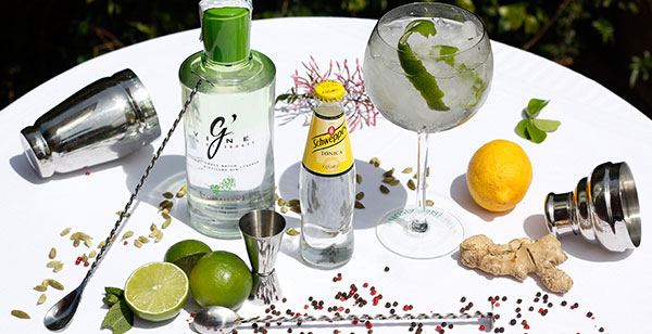 Cata de Gintonics